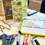 Artenkenntniskurs, (c) Annika_Rodenhauser/NNA