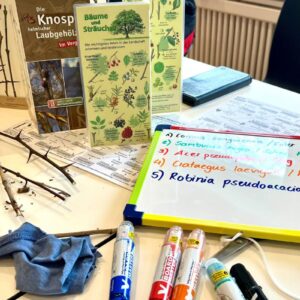 Artenkenntniskurs, (c) Annika_Rodenhauser/NNA