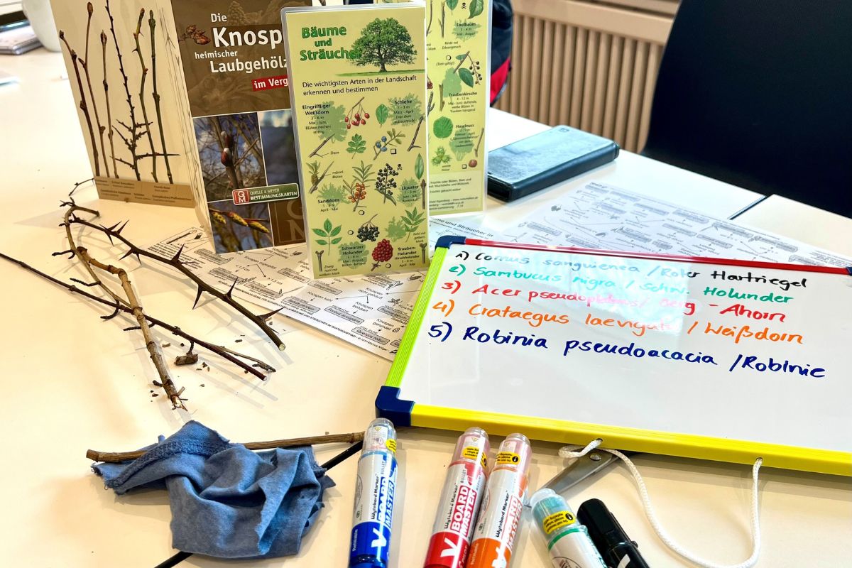 Artenkenntniskurs, (c) Annika_Rodenhauser/NNA
