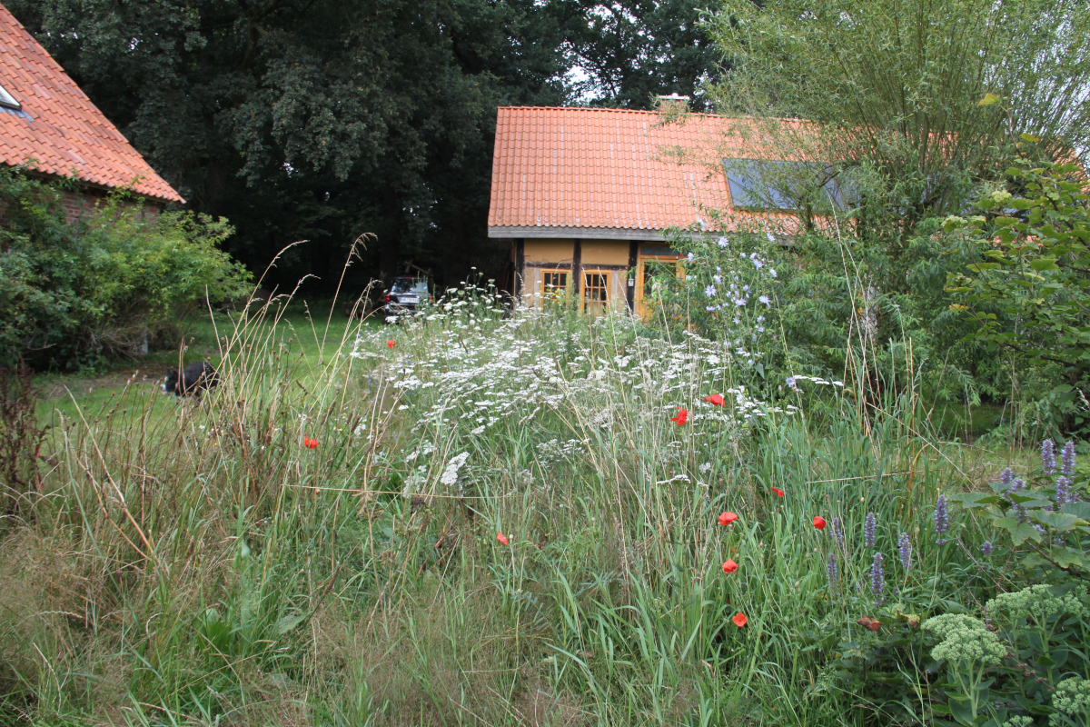 BUND Insektenstation, c Friederike Lüdtke