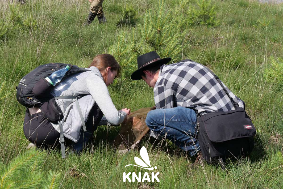 Teilnehmende Erfassungstag Döhle, (c) VNP Stiftung Naturschutzpark
