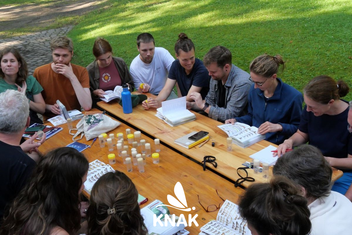 Artenkenntnis-Seminar Wilsede, (c) VNP Stiftung Naturschutzpark Lüneburger Heide