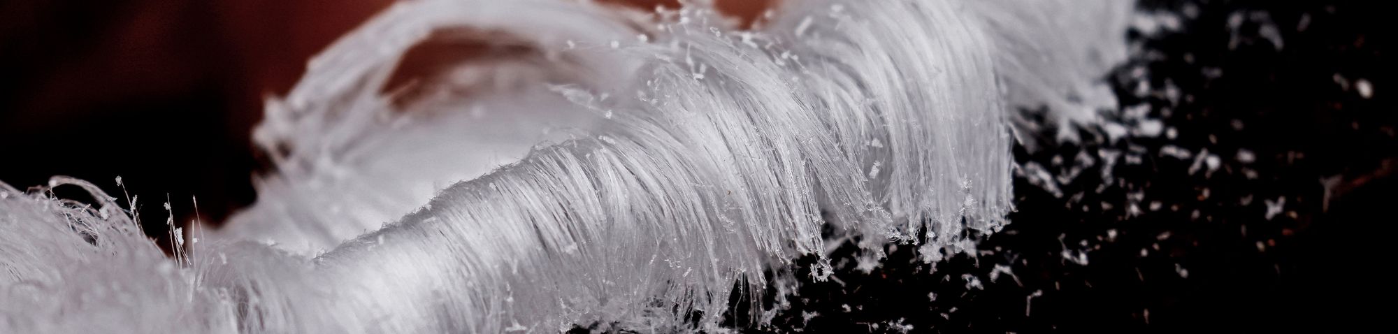 Haareis, (c) Ingrid Michel/NABU-naturgucker.de