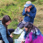 Mentor am Werk 1200x800 BUND